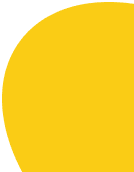 ellipse shapes for aesthetics improvement